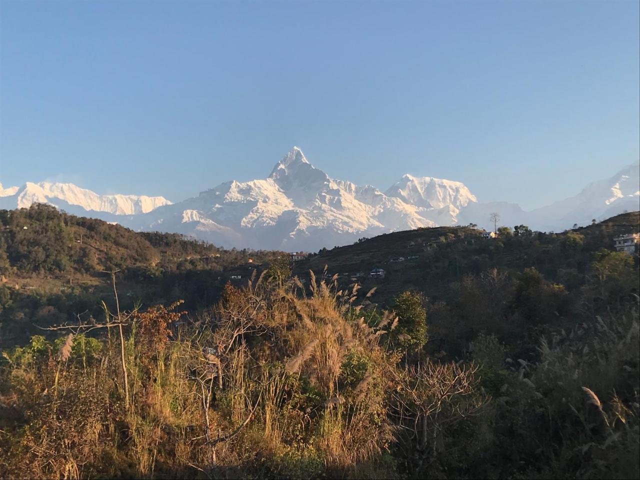 Green Hills Yoga Retreat Pokhara Eksteriør billede
